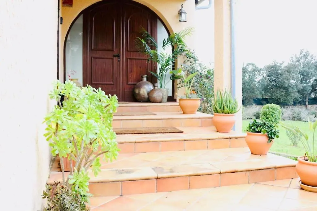 Finca Andi, Entspannung Pur! Son Gual